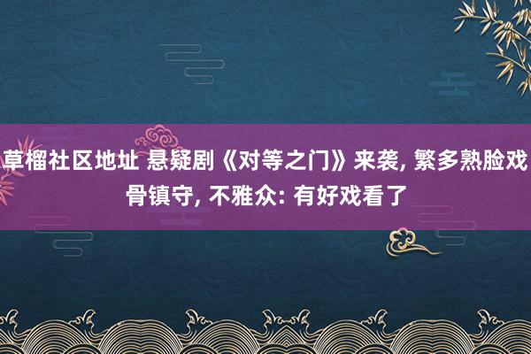 草榴社区地址 悬疑剧《对等之门》来袭， 繁多熟脸戏骨镇守， 不雅众: 有好戏看了