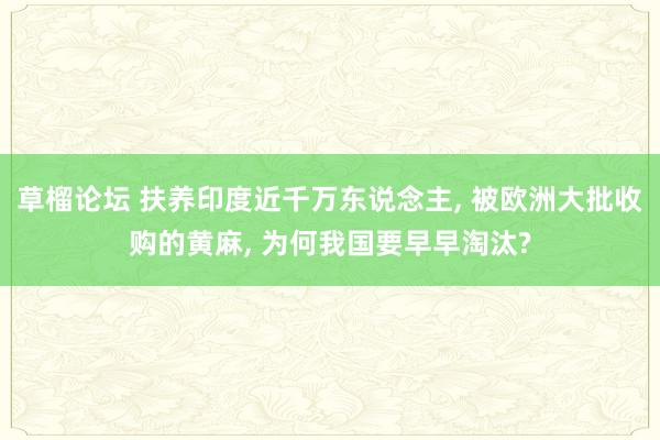 草榴论坛 扶养印度近千万东说念主， 被欧洲大批收购的黄麻， 为何我国要早早淘汰?
