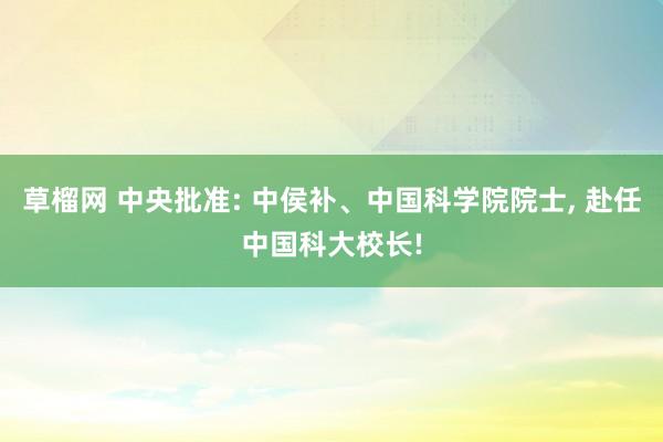 草榴网 中央批准: 中侯补、中国科学院院士， 赴任中国科大校长!