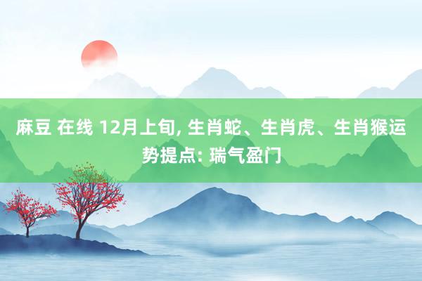 麻豆 在线 12月上旬， 生肖蛇、生肖虎、生肖猴运势提点: 瑞气盈门