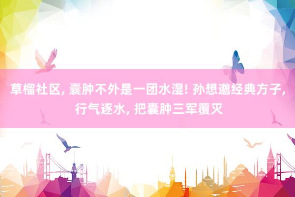 草榴社区， 囊肿不外是一团水湿! 孙想邈经典方子， 行气逐水， 把囊肿三军覆灭