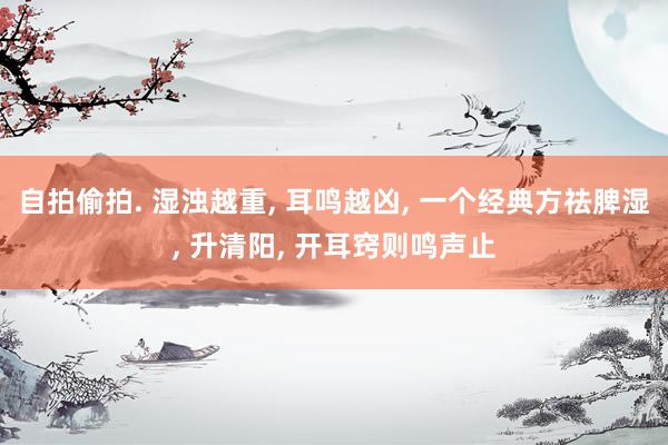自拍偷拍. 湿浊越重， 耳鸣越凶， 一个经典方祛脾湿， 升清阳， 开耳窍则鸣声止